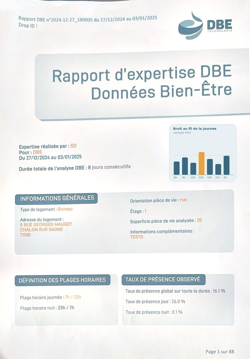 Première page d’un rapport d’expertise DBE (exemple)